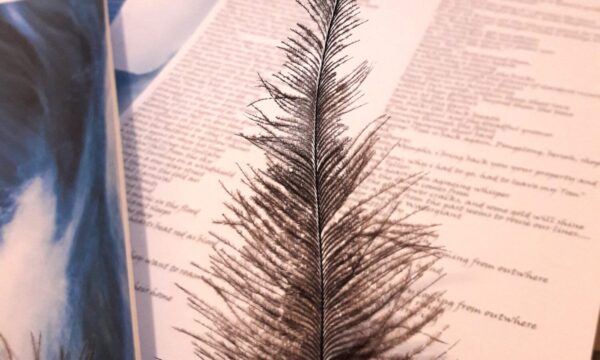20171212_122649